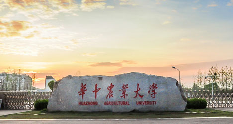 华中农业大学